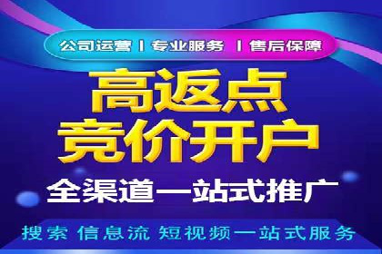 行业领先的SEM推广代运营公司案例集锦